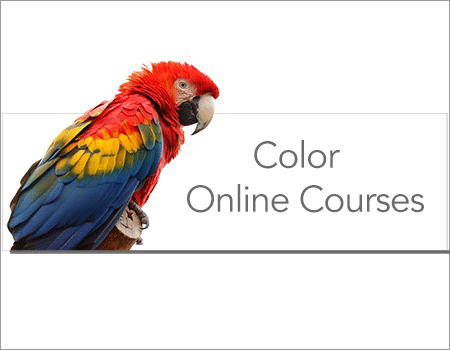 Color Online courses